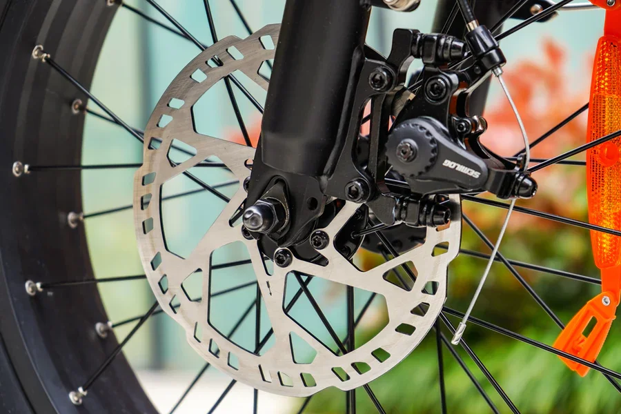 Compact Folding — rear rack and fat tire detail